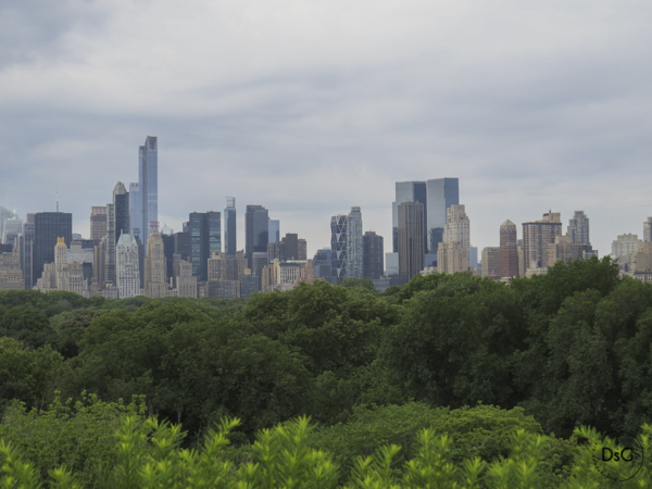 vistas de NY desde la terraza del MET