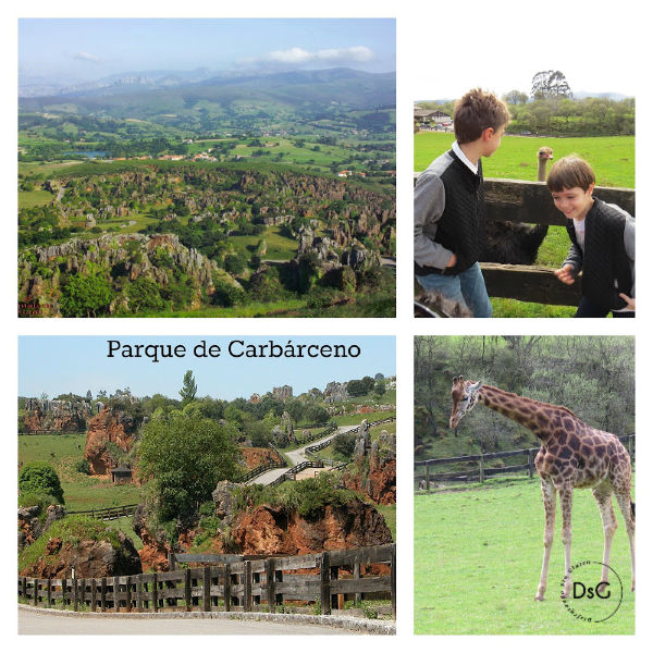 donde comer en el parque de cabarceno sin gluten