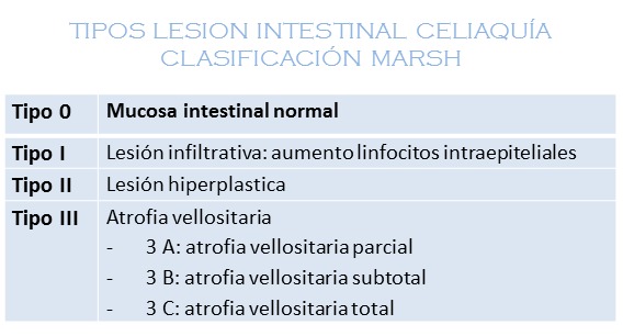 lesiones Marsh celiaquia
