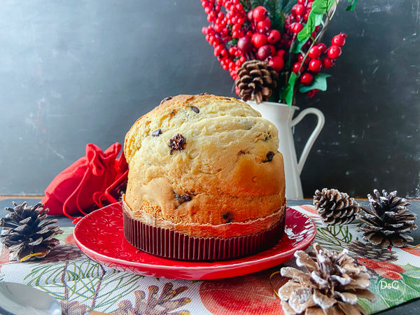 Panettone expres