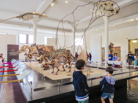 Visita al museo de Historia Natural con niños en Nueva York