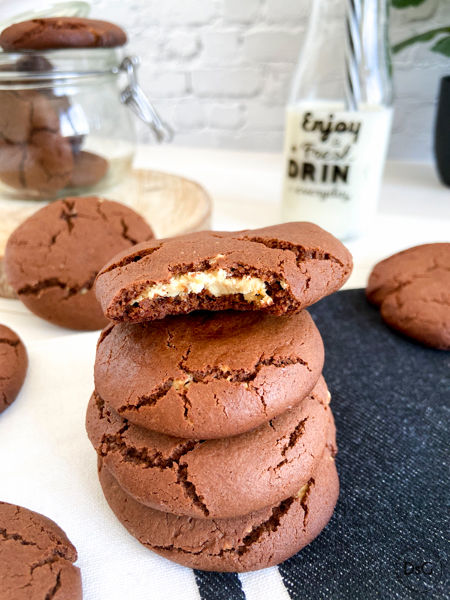 galletas dos chocolates sin gluten