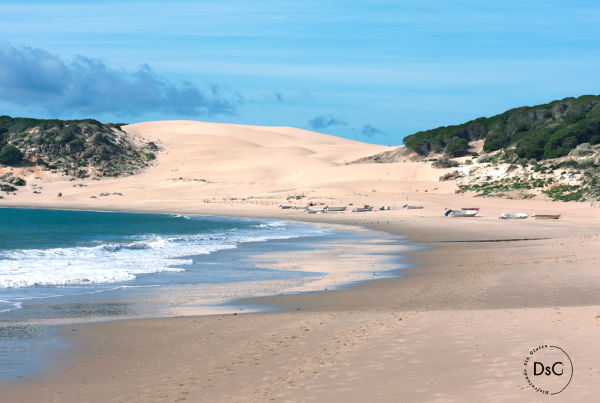 Bolonia, Tarifa