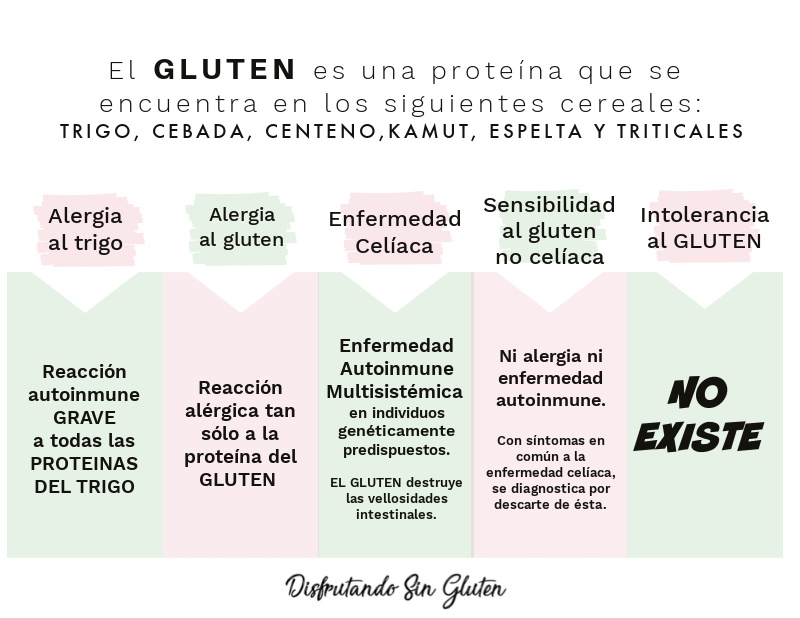 Enfermedades relacionadas con el gluten y el trigo