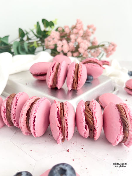 Macarons sin gluten