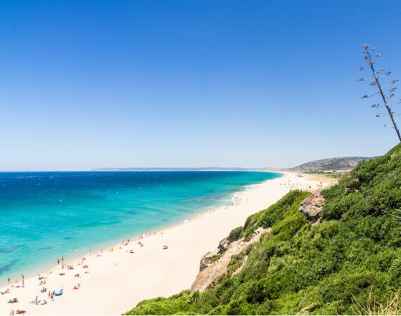 Costa de la Luz gaditana sin gluten