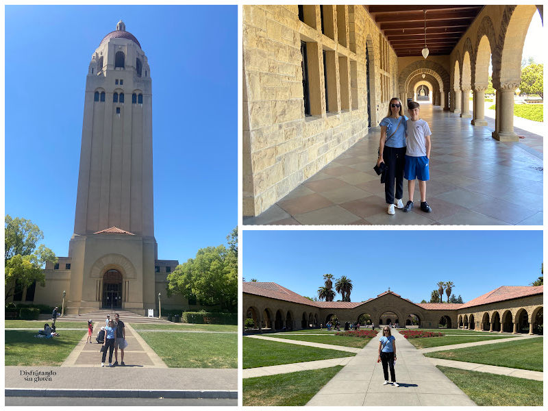 Universidad de Stanford California