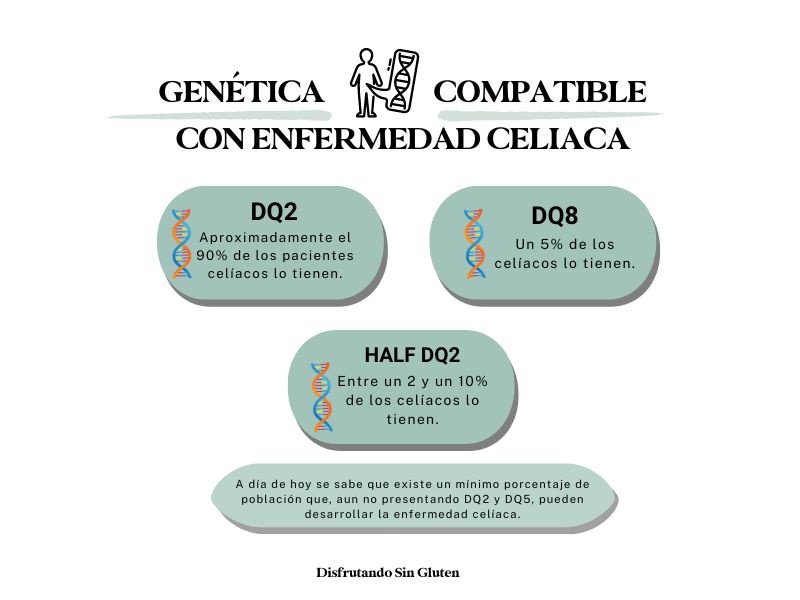 Genes compatibles con la enfermedad celíaca