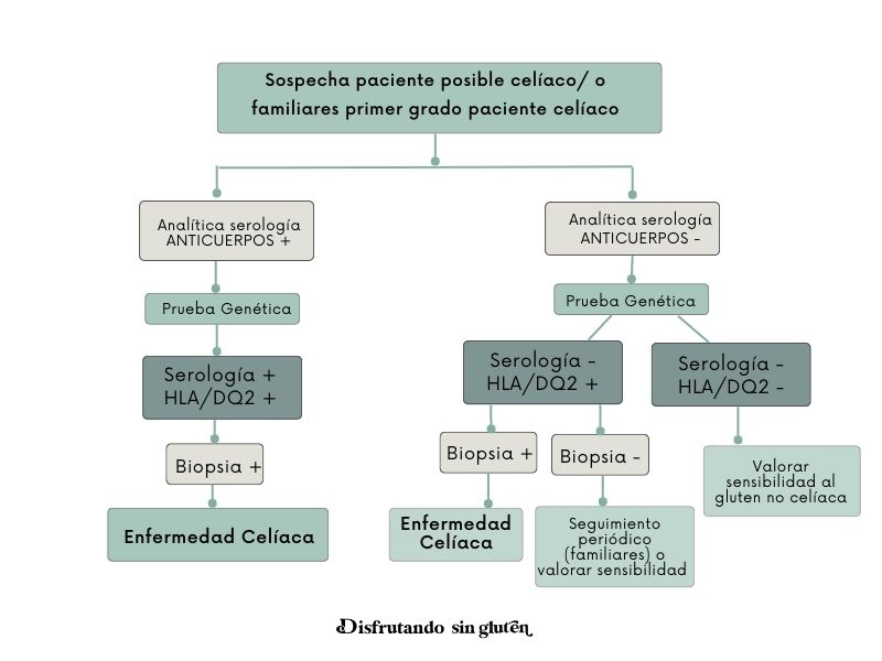 Resumen pruebas celiaquía