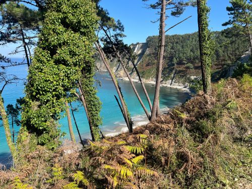 Playa de Olerios. Asturias sin gluten