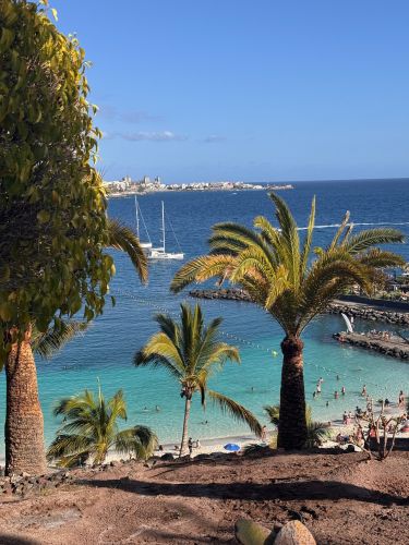 comer sin gluten en la isla de Gran Canaria