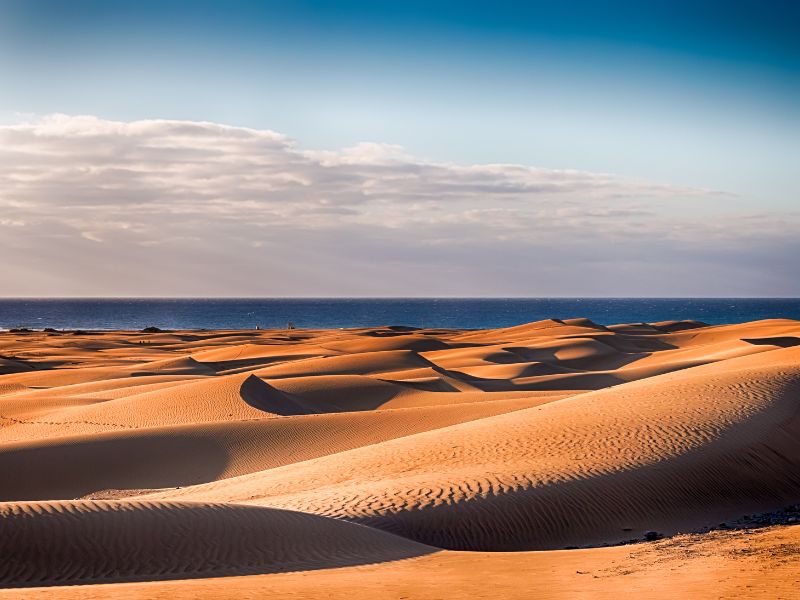 Comer sin gluten en el Sur de Gran Canaria
